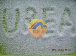 Urea prices keep slight rising